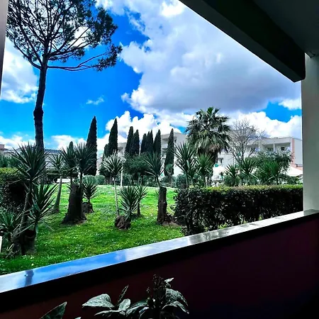 Aurelia Rome